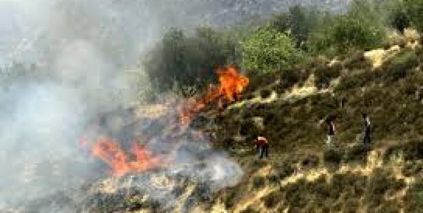 مستوطنون يحرقون محاصيل زراعية شرق برام الله