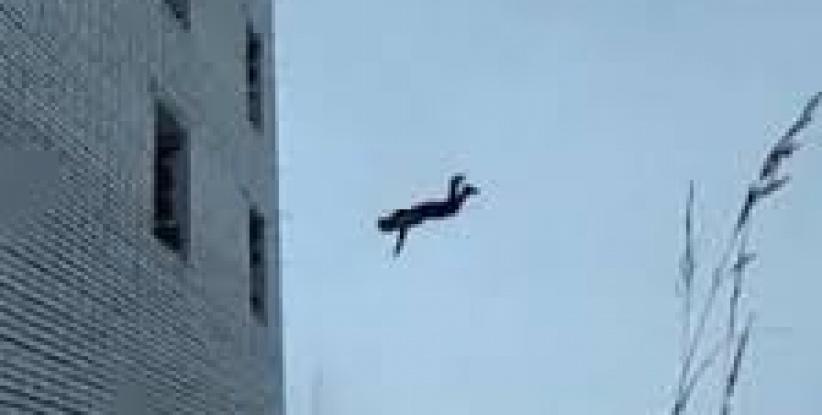 وفاة عامل في يطا سقط عن بناية قيد الانشاء