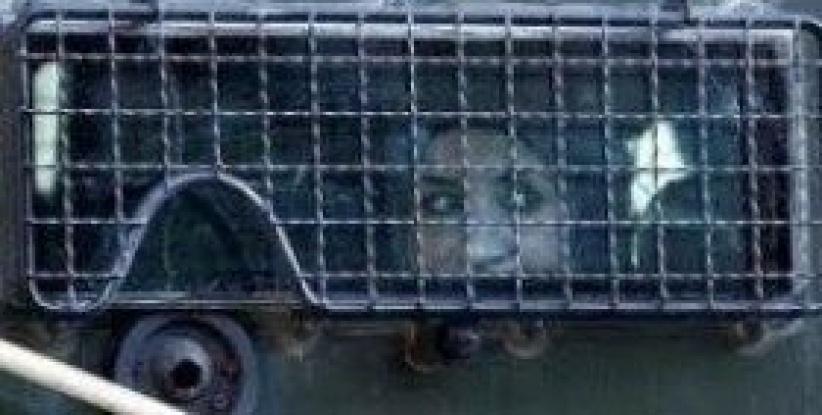 صابرين أبو شرار تعرضت للتعذيب خلال اعتقالها