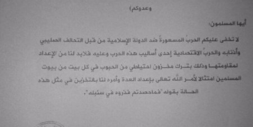 8 دواوين تدير خلافة داعش