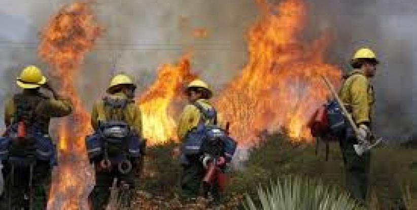 إخماد حريق في منطقة جبلية غرب الخليل