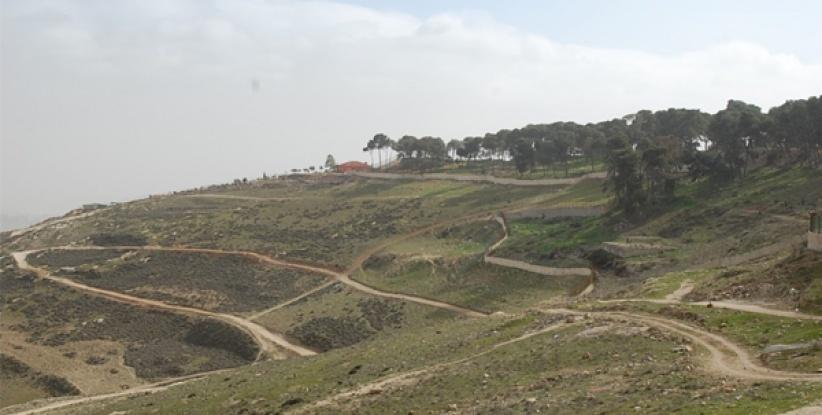 مصادرة 740 دونما من أراضي العيسوية والطور