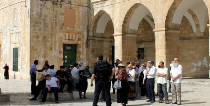 مستوطنون يقتحمون الأقصى من باب المغاربة