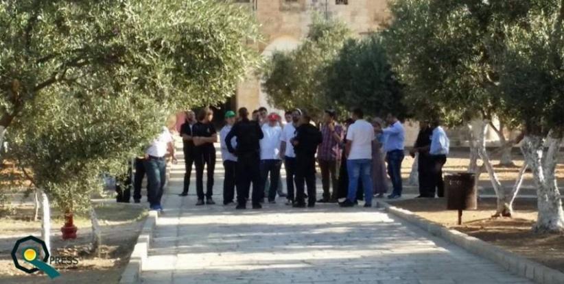 تشديدات على أبواب الأقصى و52 مستوطنًا يقتحمونه