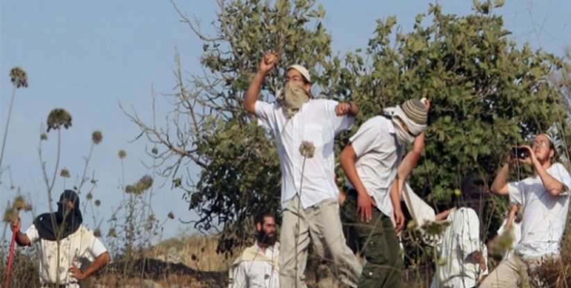 مستوطنون يهاجمون مواطنين وسط الخليل ومحاولة خطف طفل عند بيت أمر