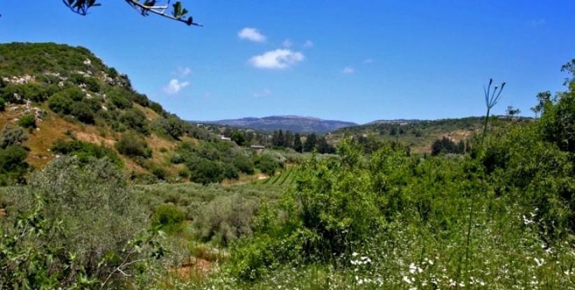 حالة الطقس- توالي ارتفاع درجات الحرارة خلال اليومين المقبلين