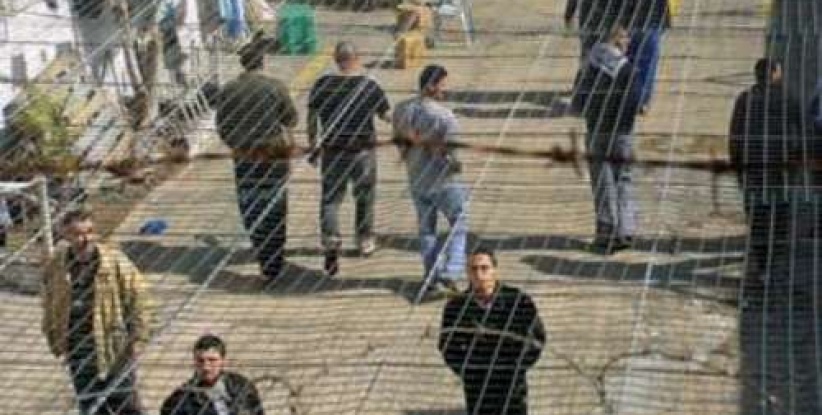 الأسير بلال ذياب من جنين  يواصل اضرابه عن الطعام