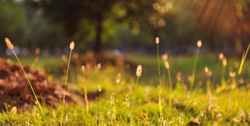 الطقس حتّى الإثنين - فرص مهيّأة لتساقط أمطار محلية