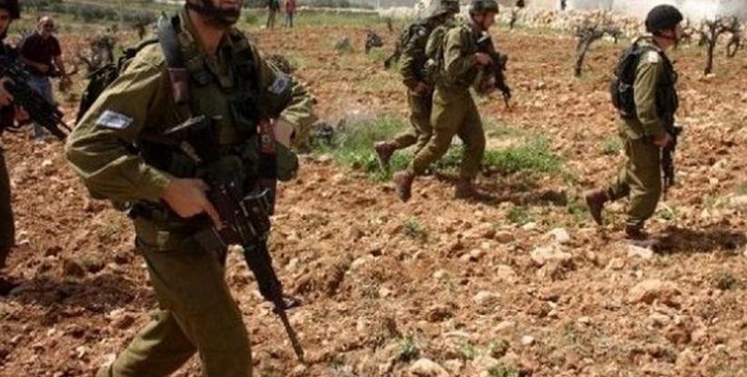 الاحتلال يمنع عشرات المزارعين من الوصول إلى حقول الزيتون في نعلين