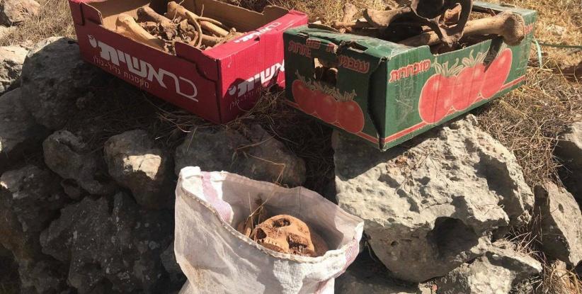 مجهولون بنبشون قبور في مقبرة الخضر جنوب بيت لحم