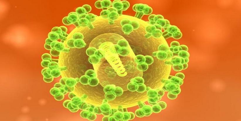 طريقة فعالة لمنع مقاومة المضادات الحيوية