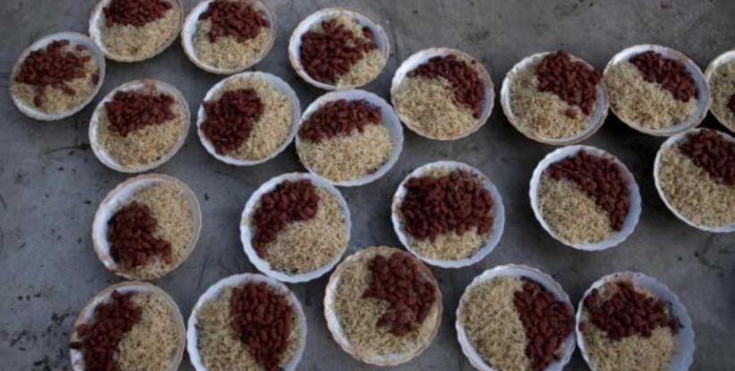 طبق واحد يكشف 