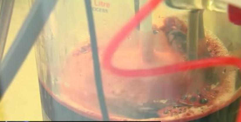 فيديو- علماء روس.. الدم البديل أصبح حقيقة