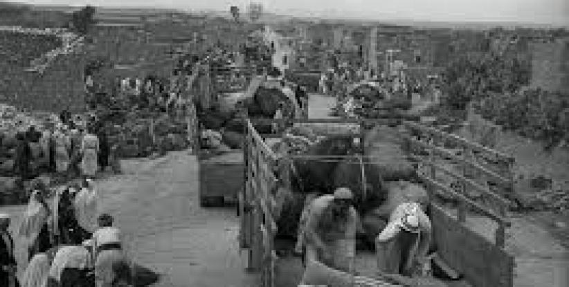 69 سنة على مجزرة الاحتلال في قرية الدوايمة