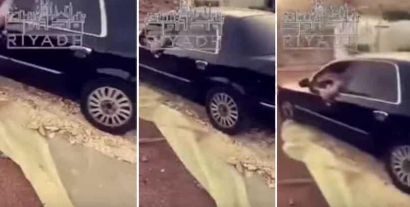 بالفيديو| شاب يدهس الخبز بسيارته يثير استياء المعلقين