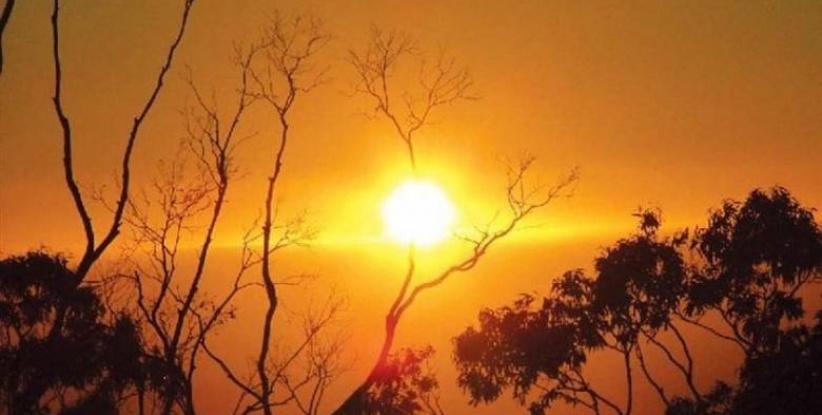 الحرارة تواصل الارتفاع