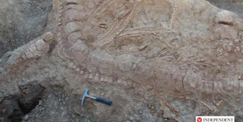 اكتشاف بقايا وحش عاش بالهند قبل 150 مليون سنة