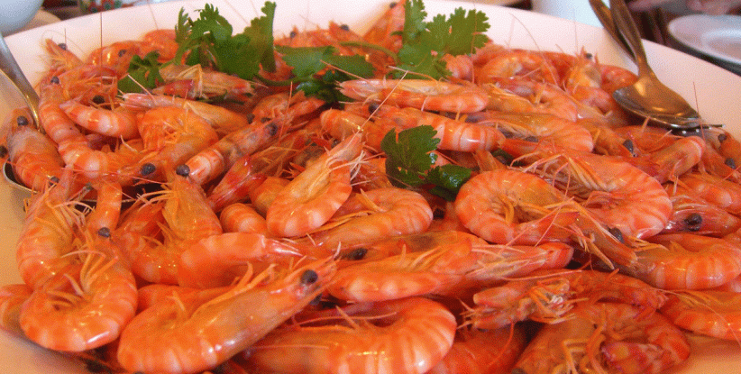 المأكولات البحرية لذيذة ومغذية.. وضارة للبعض