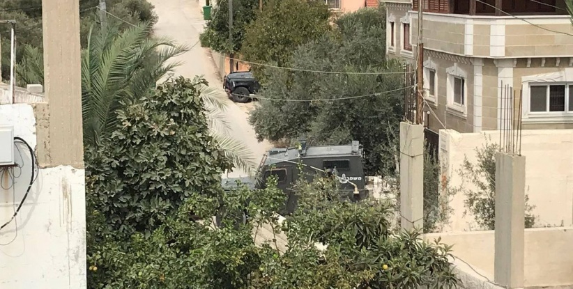 الاحتلال يداهم منتزه في ضاحية شويكة شمال طولكرم ويستولي على حيوانات برية