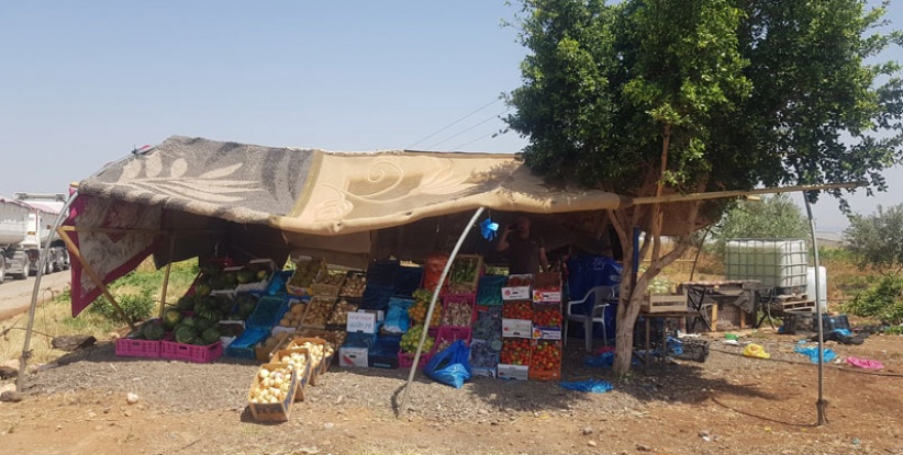 الاحتلال يخطر بإزالة عدد من بسطات الخضار في الأغوار الشمالية