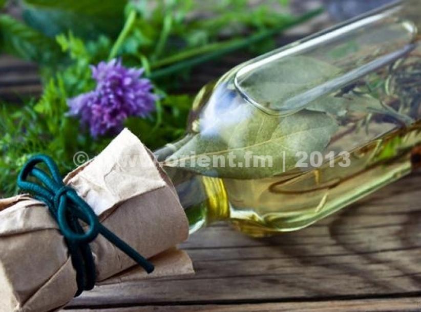 نبتة إكليل الجبل (روزماري)...لعلاج العديد من الأمراض