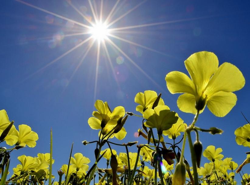 حالة الطقس لليوم الجمعة 24-5-2013