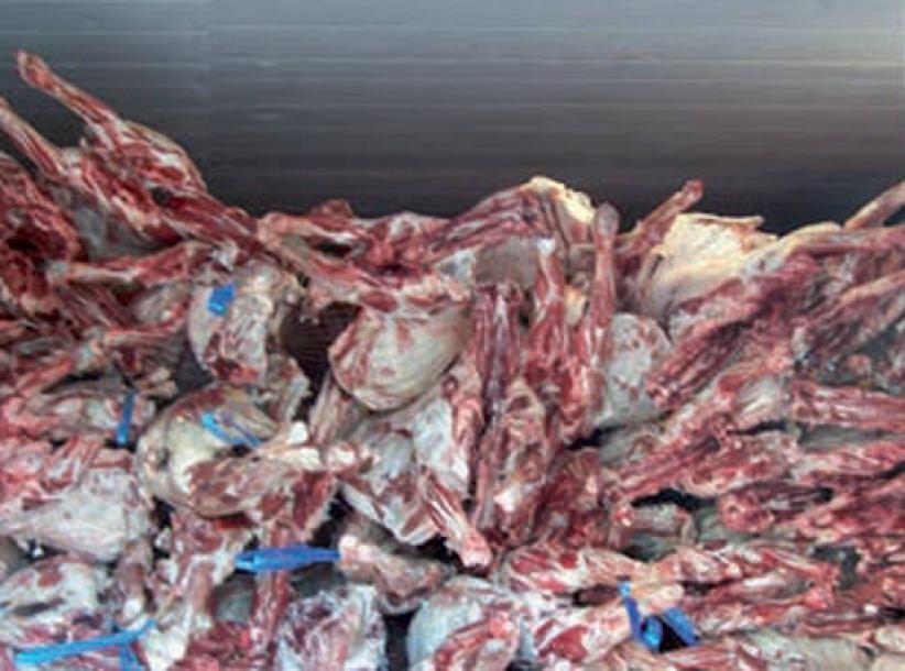 ضبط نصف طن لحم دجاج فاسد برام الله