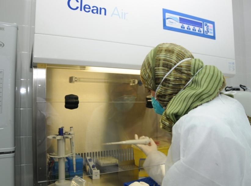 الصحة تؤكد جاهزيتها لمواجهة 