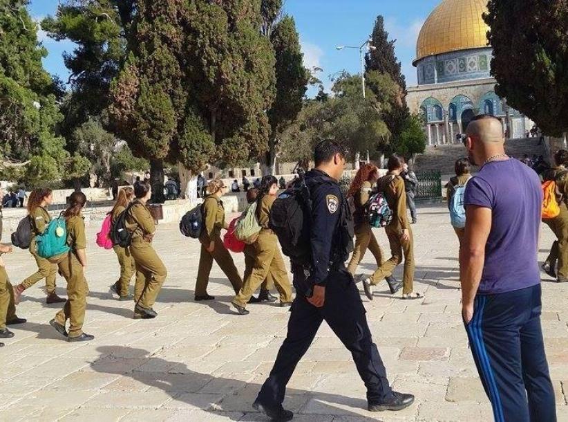 صباح اليوم: اقتحام جديد للمسجد الأقصى