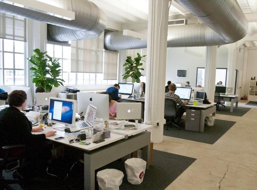 دراسة: النباتات تُسعد الموظفين وتزيد من انتاجهم