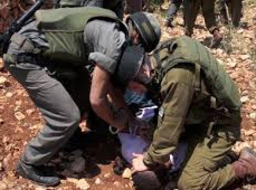 قوات الاحتلال تعتقل فتيين جنوب الخليل