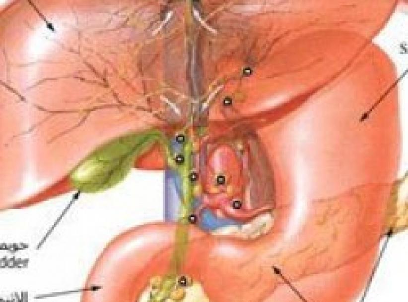 الصيام لا يمثل خطورة على مرضى زراعة الكبد