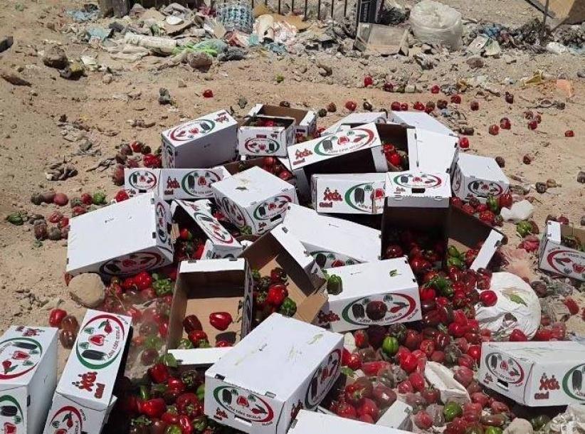 بالصور: اتلاف 714 كغم فلفل حلو مجهول المصدر في أريحا