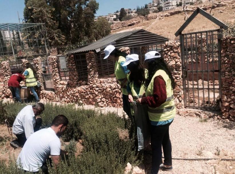 بالصور| نشاط تطوعي لشبيبة الطالبة المسيحية والمجلس الشبابي في بيت ساحور