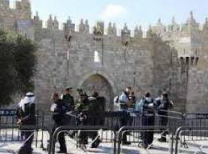 مستوطنون يقتحمون الأقصى وإبعاد 6 نساء لأسبوعين