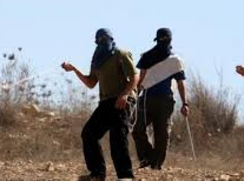 مستوطنون يهاجمون المركبات بالحجارة ويعربدون جنوب جنين