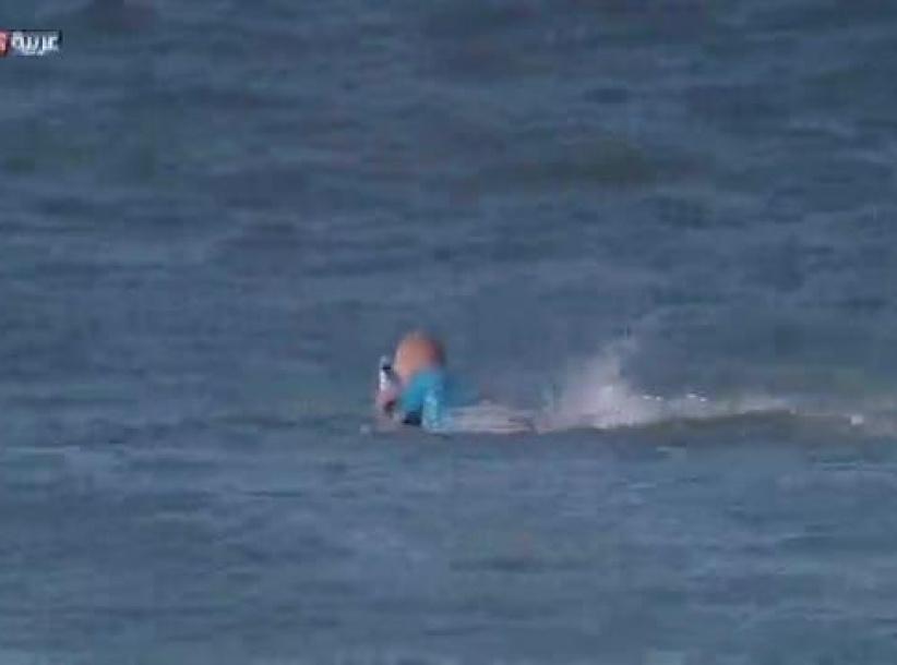 بالفيديو : سمكة قرش تهاجم 