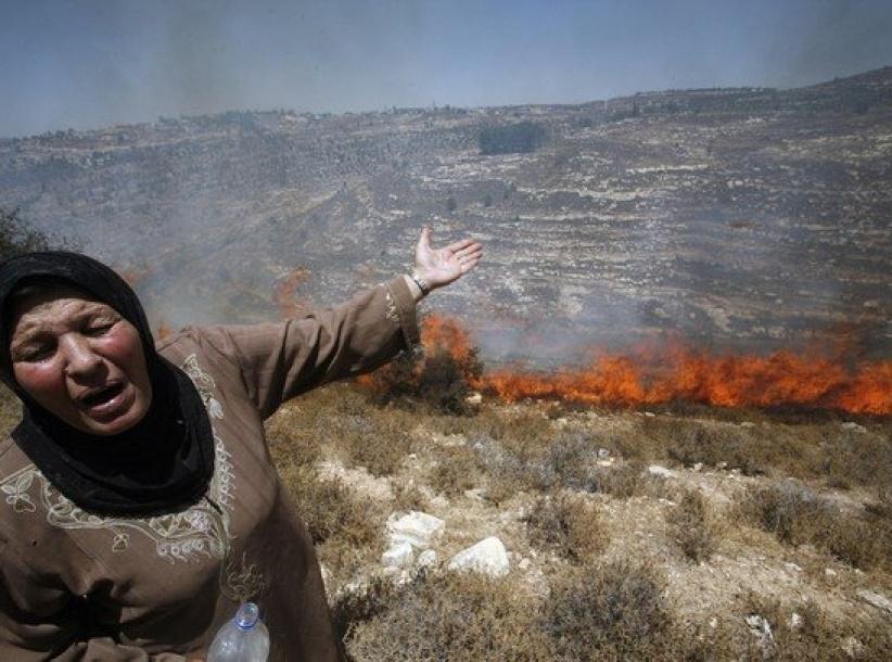 مستوطنون يحرقون أشجار زيتون غرب بيت لحم