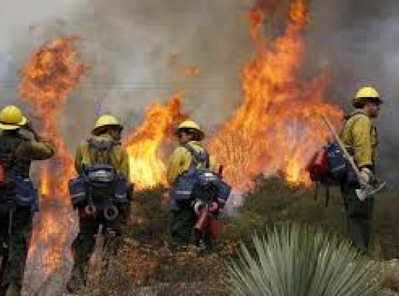 إخماد حريق في منطقة جبلية غرب الخليل
