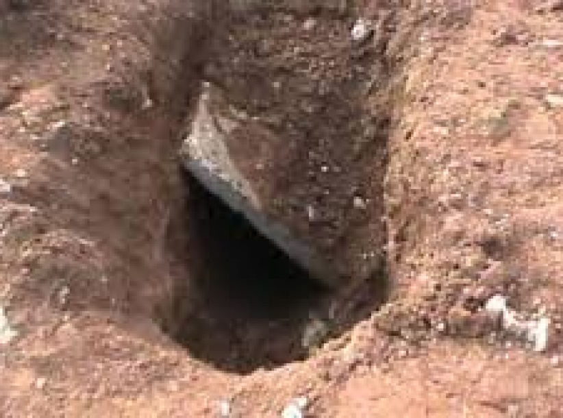 حدث في جنين- نبشوا قبر عمهم بعد دفنه