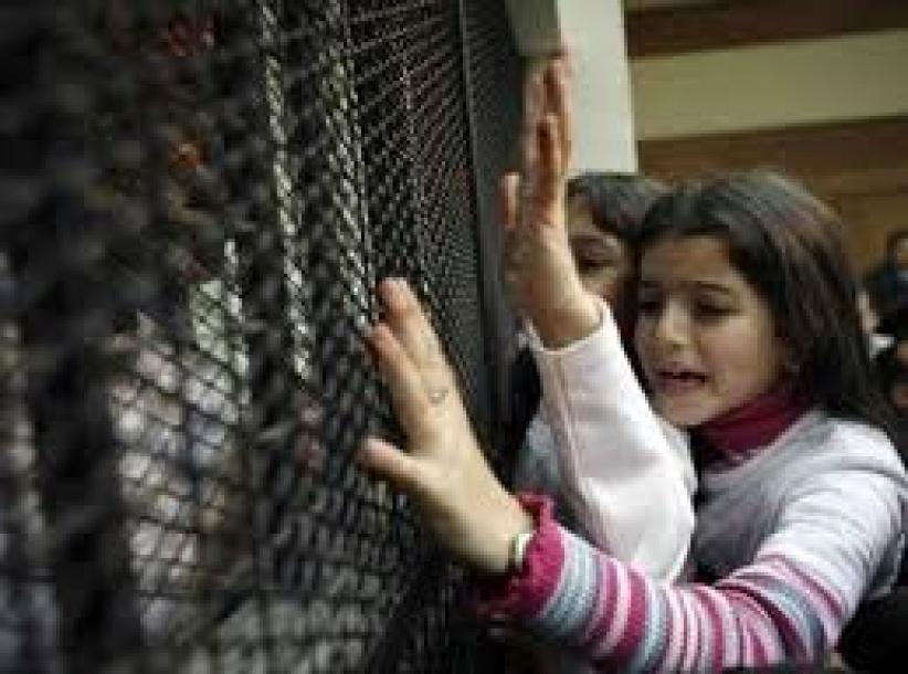 اللجنة القانونية في 