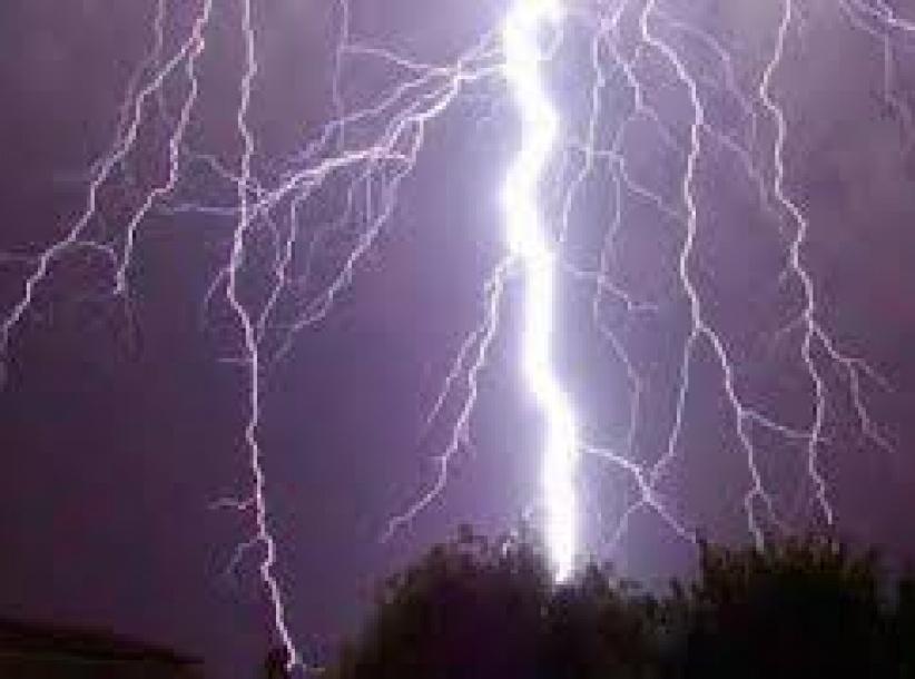 اراد التقاط 