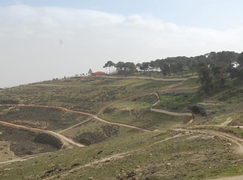 مصادرة 740 دونما من أراضي العيسوية والطور