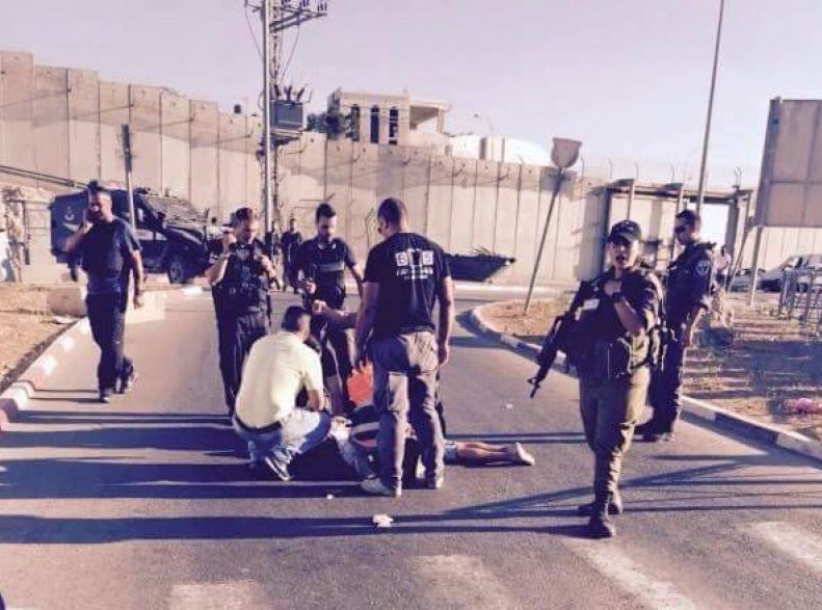 الشاباك: اعتقلنا 40 ناشطا من حماس بنابلس وصادرنا 4 مليون شيقل