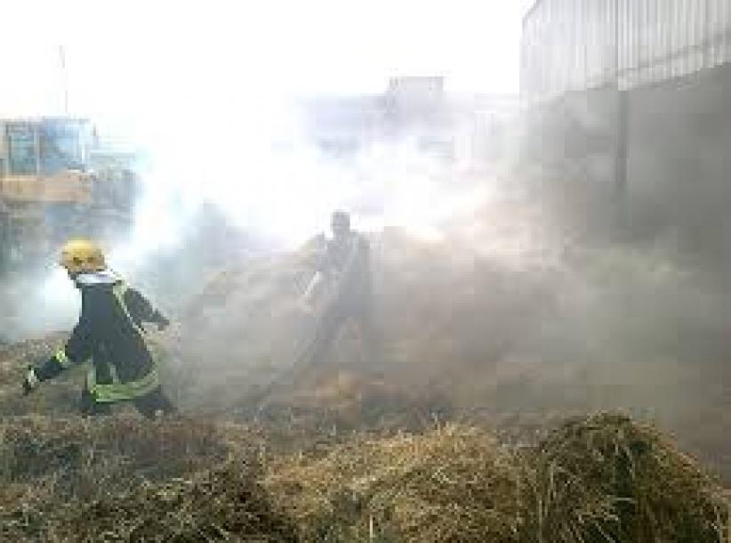 نشوب حريق بمئات اشجار الزيتون واللوزيات جنوب غرب جنين