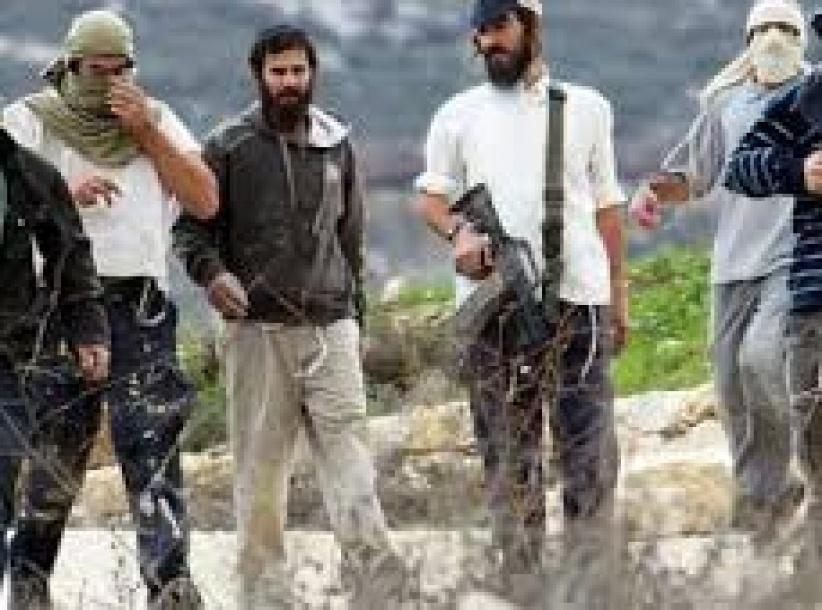 المستوطنون ينفذون اعتداءات على المداخل الواصلة بين الخليل وبلداتها