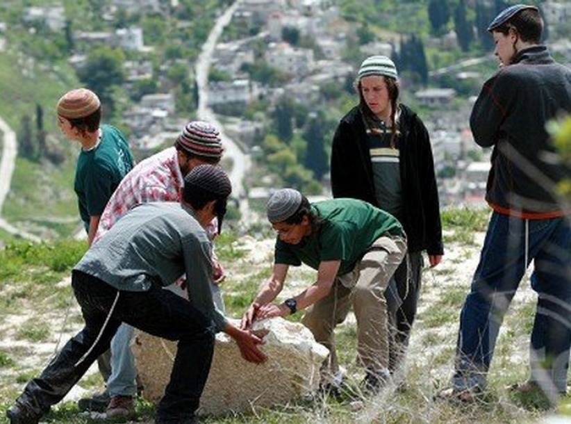المستوطنون يهاجمون قرية كفر الديك ويقومون بقطع اشجار الزيتون بمحافظة سلفيت