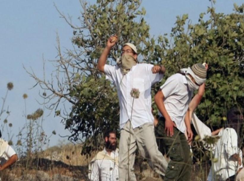 مستوطنون يهاجمون مواطنين وسط الخليل ومحاولة خطف طفل عند بيت أمر