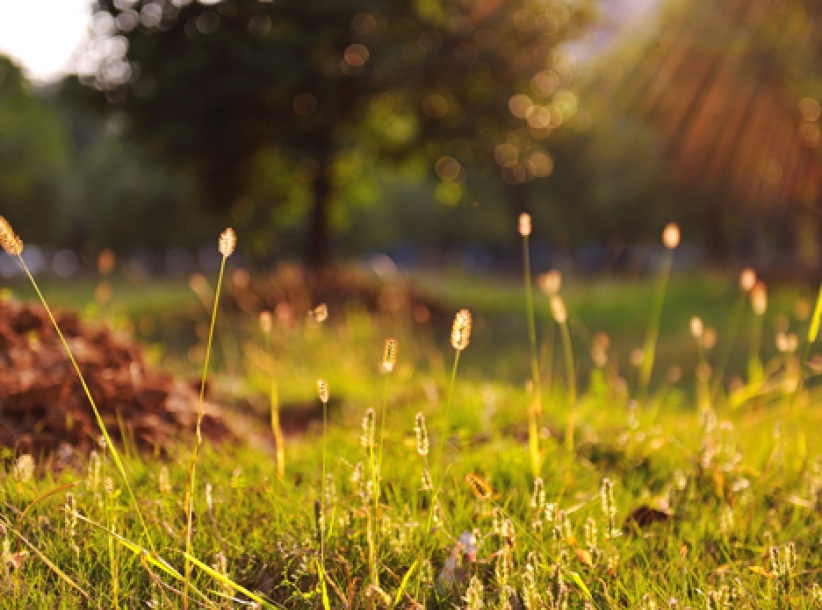 الطقس حتّى الإثنين - فرص مهيّأة لتساقط أمطار محلية