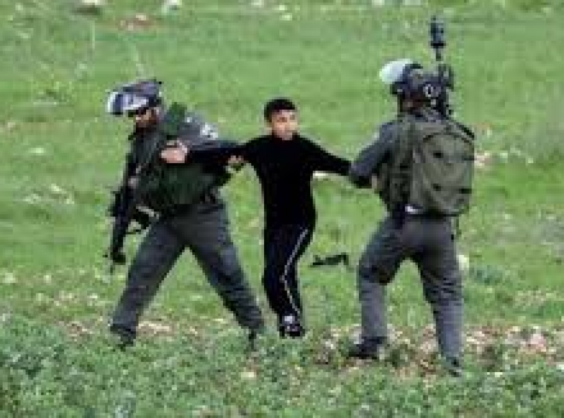 الاحتلال يعتقل طفلا ووالده أثناء قطفهما الزيتون شرق قلقيلية